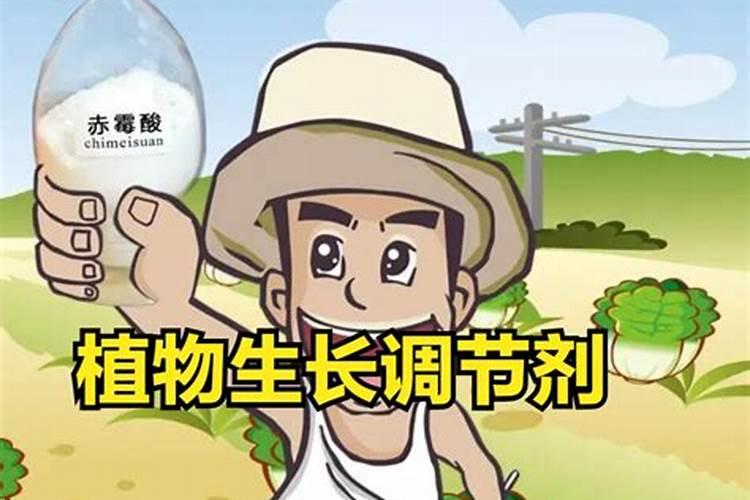 钾肥是激素么还是激素肥料？