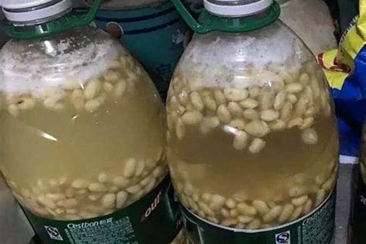 在家怎样自制磷钾肥呢