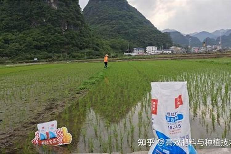 水稻施肥量折纯