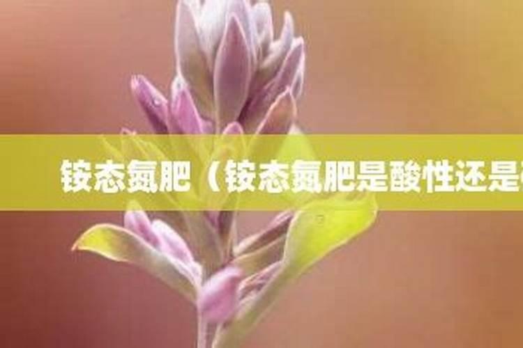 氮肥是酸性还是碱性的