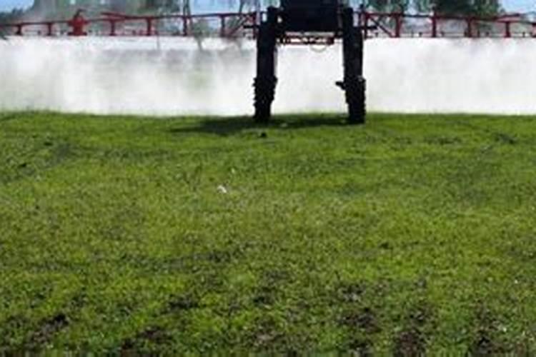 磷酸二氢钾能和杀菌剂杀虫剂混用吗