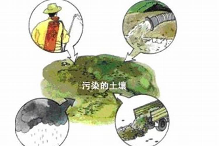 什么是土壤污染源？污染物有哪些？