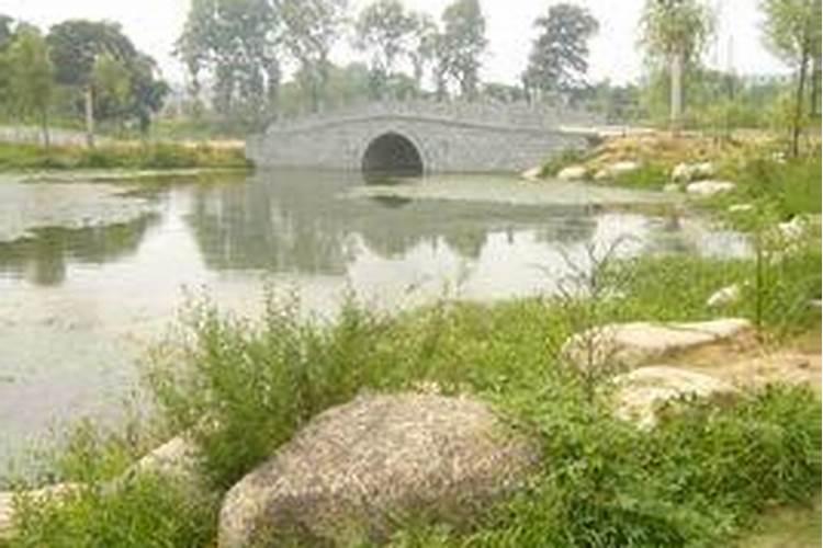 定远县的自然资源