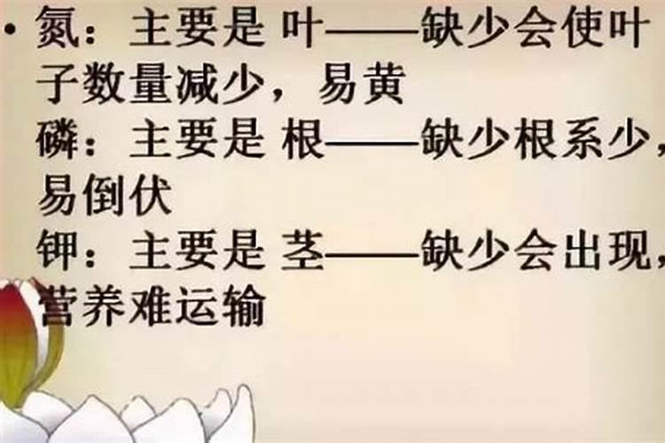 氮磷钾口诀三字