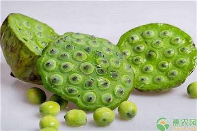 磷肥种植莲子怎么样才能发芽？