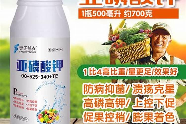 控旺药配什么叶面肥效果最好？