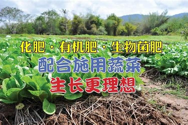 不同作物施用生物菌肥,应该注意什么？