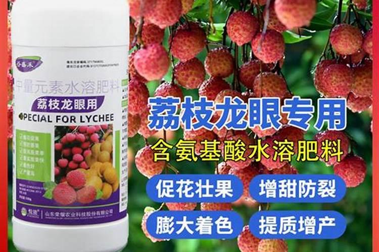 荔枝用什么果树水溶肥能增甜耐储