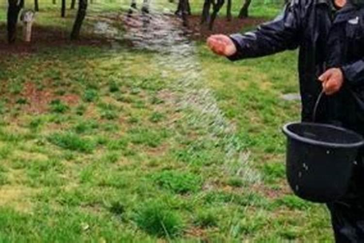 小麦硼肥的最佳使用时期