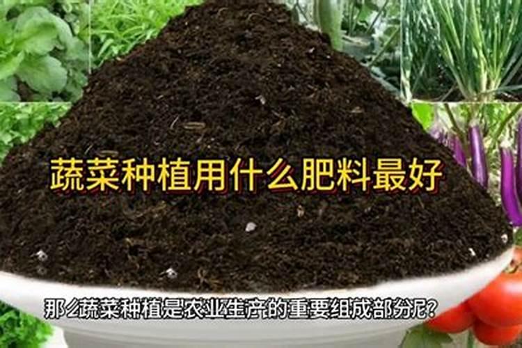 蔬菜浇什么肥料最好