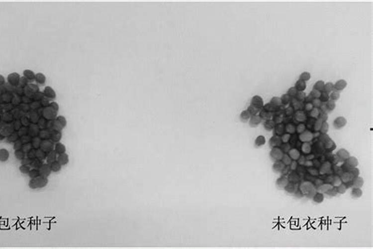 种子包衣剂的最佳配方