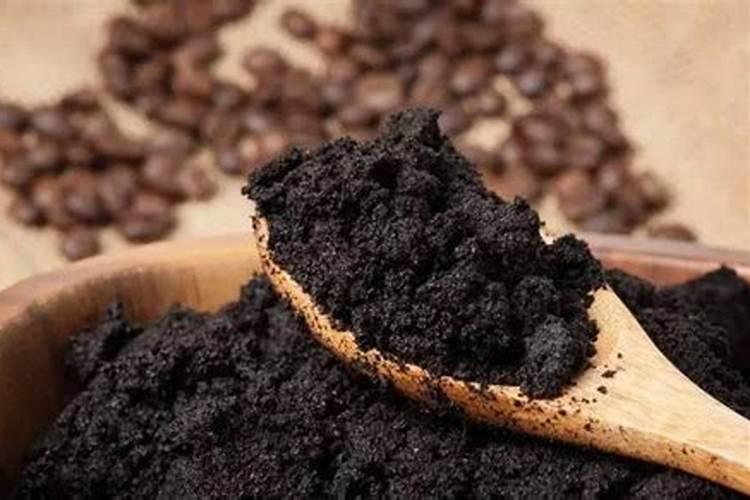 养花用什么肥能枝叶茂盛 咖啡渣怎么发酵做肥料