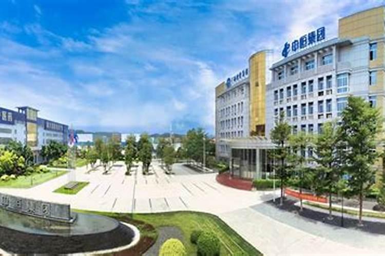 广西梧州中田复合肥有限公司公司简介