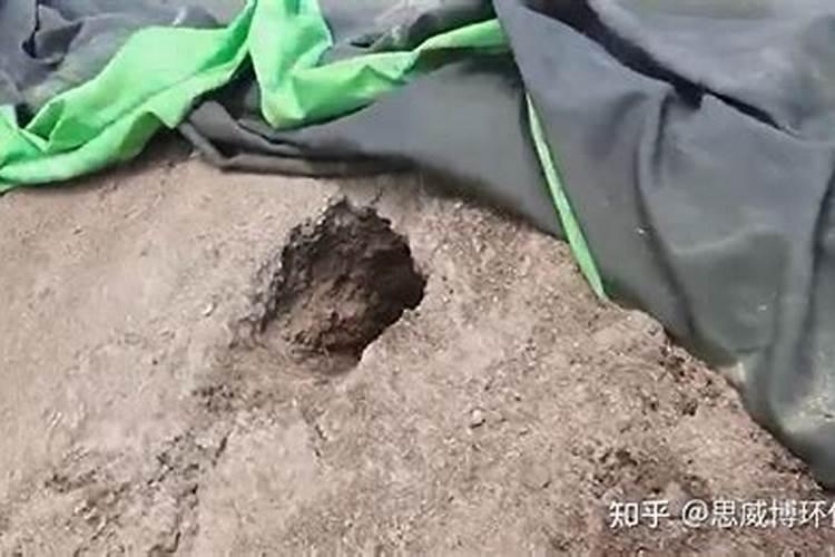 自己做花肥怎样才算腐熟