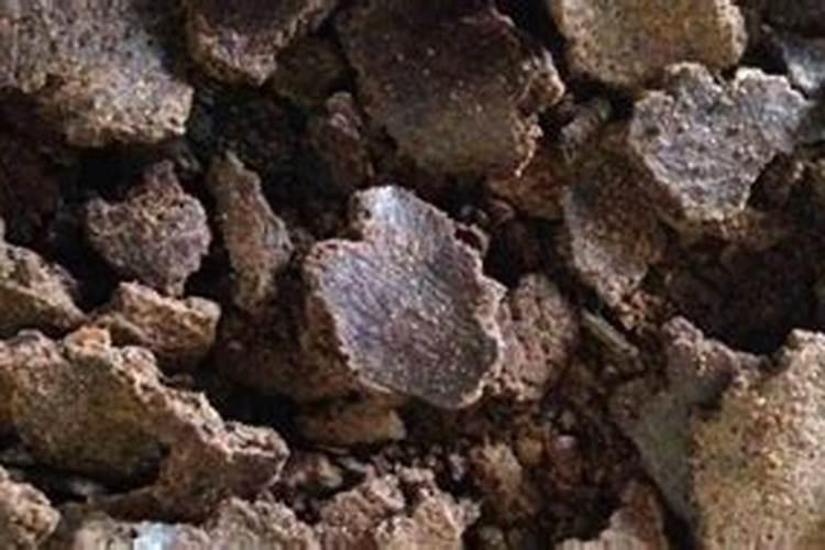 花生饼怎么发酵水溶肥料？