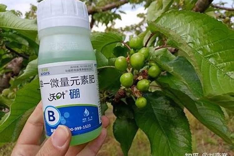 硼肥和钙肥哪个效果好一些？