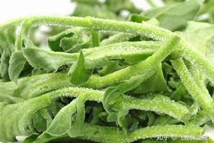 中国冰菜产地在哪里 如何栽培能高产