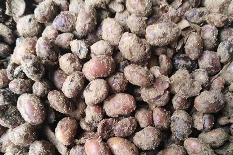 山东豆之缘生物科技有限公司怎么样啊？