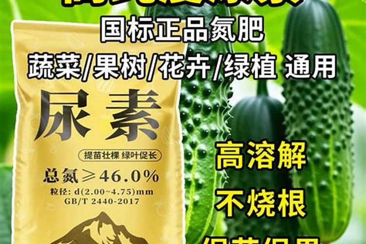 速效氮肥尿素怎么用效果好？
