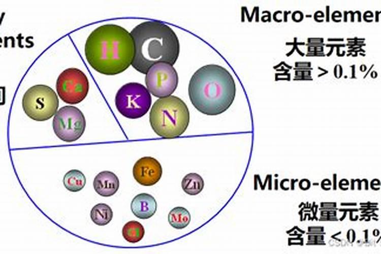 大量元素有什么不同之处？