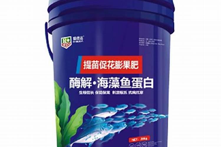 酶解海藻鱼蛋白有什么作用与功效？