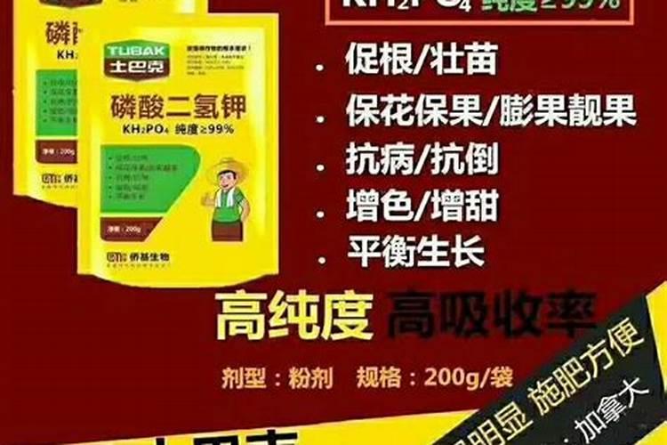 磷酸二氢钾:叶面肥一姐,如何才能用好它？