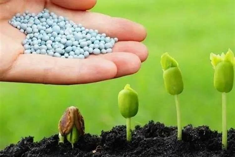 种菜可以用磷肥做底肥吗为什么？