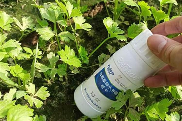 蔬菜叶面肥配方