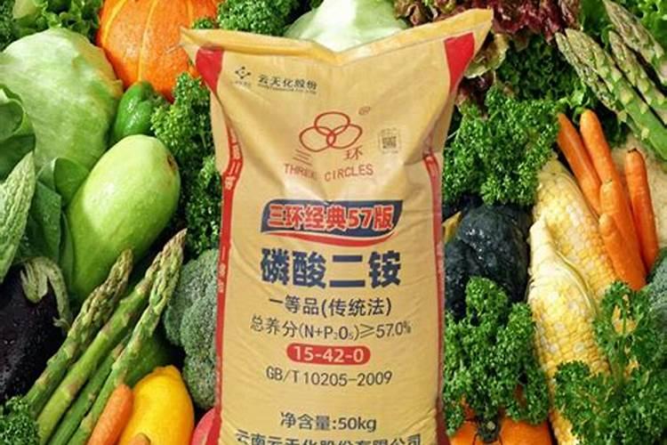 代替磷酸二铵的肥料