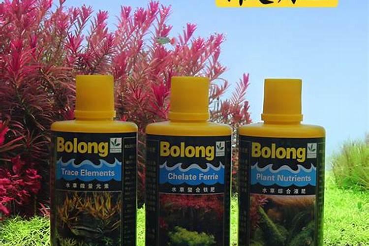 水草用博龙的液肥最好吗