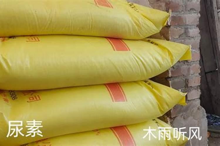 尿素的正确施肥方法