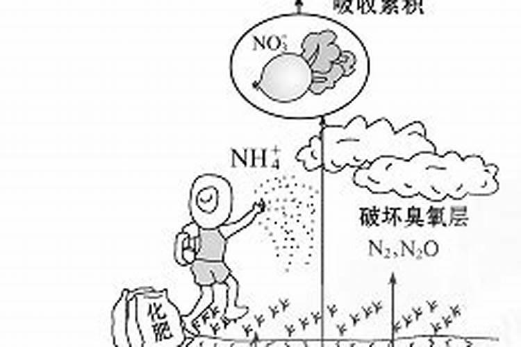 怎么能看出化肥的好坏如题 谢谢了