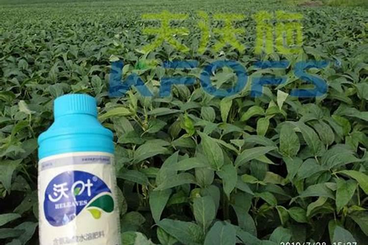 氨基酸叶面肥在大豆上每亩用量