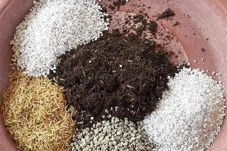 买来的营养土要加肥料吗