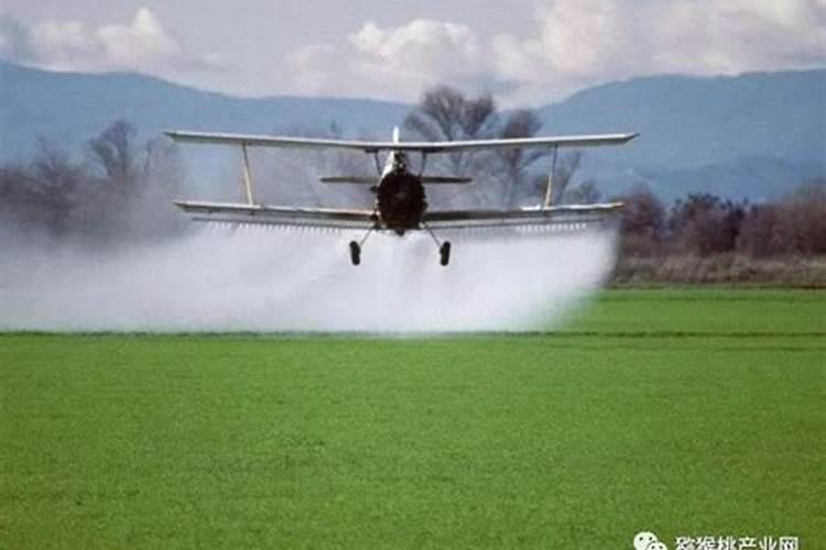 钾肥能喷雾吗怎么喷？