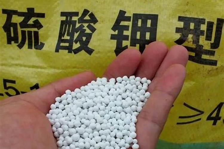 农作物肥料硝酸钾和硫酸钾的区别？