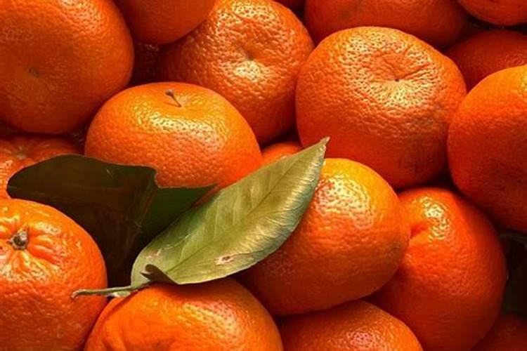 如何保果稳果,才能让你的柑橘又大又甜？