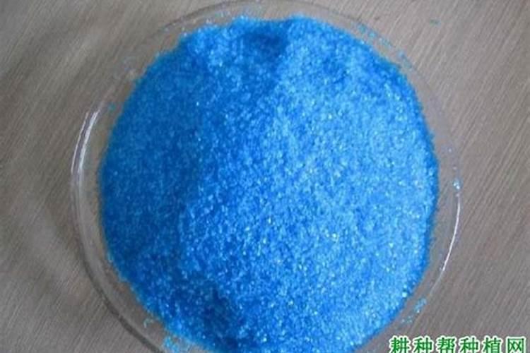 硫酸铜喷施叶面可以吗