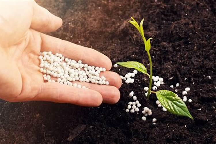 白豆属于磷钾肥吗为什么？