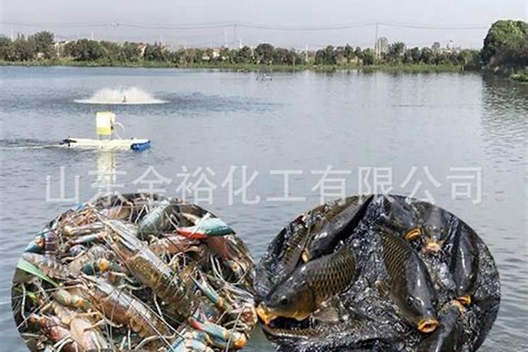 水产芽孢杆菌能和磷肥同时用吗