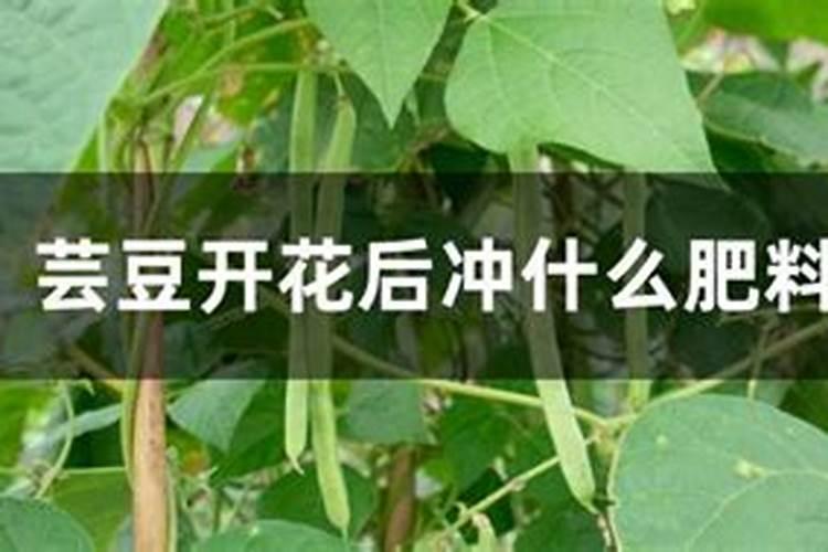 芸豆开花后冲什么肥料
