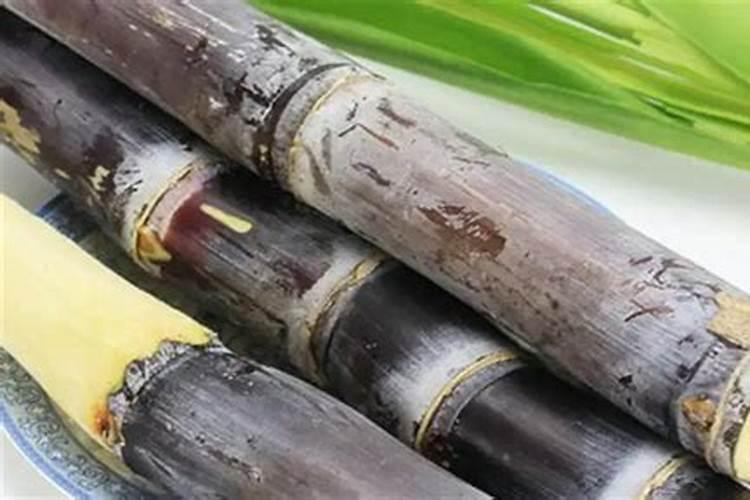 哪里有售甘庶专用肥料的地方？