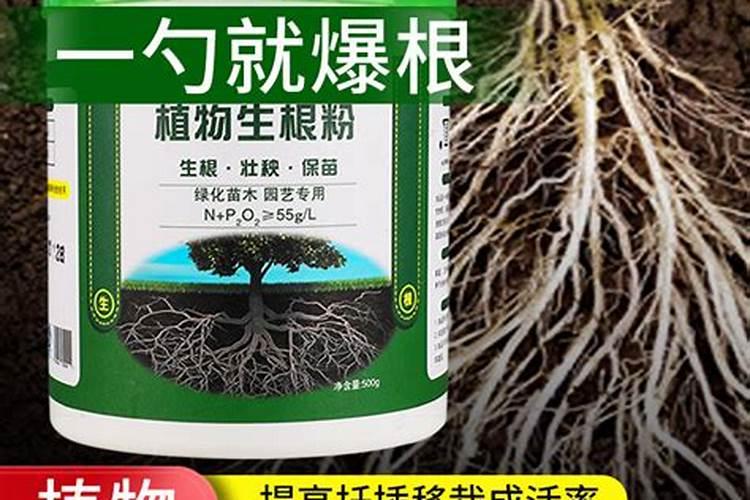 生根粉与强力生根壮苗剂是一样的吗