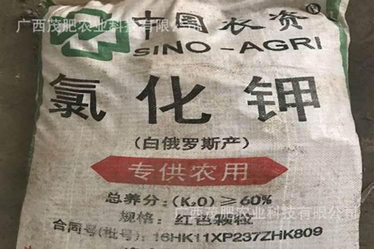 酸性的硅肥好吗还是碱性？