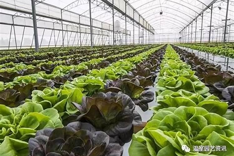 二氧化碳施肥的主要方法