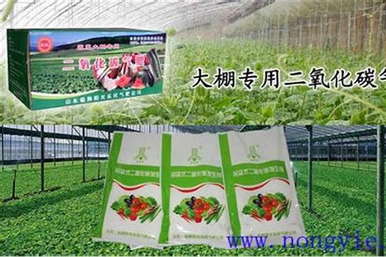 利用二氧化碳施肥的方法有哪些