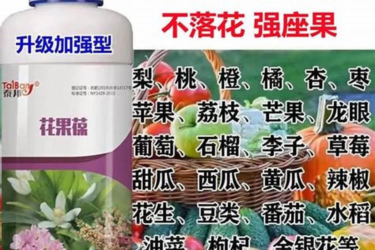 用什么做肥料可以让盆果树快点开花结果