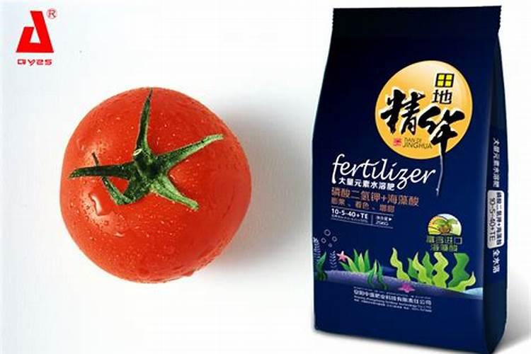番茄第一次追肥用什么肥最好