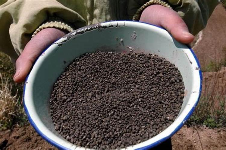 施用磷可以使哪些作物增产？