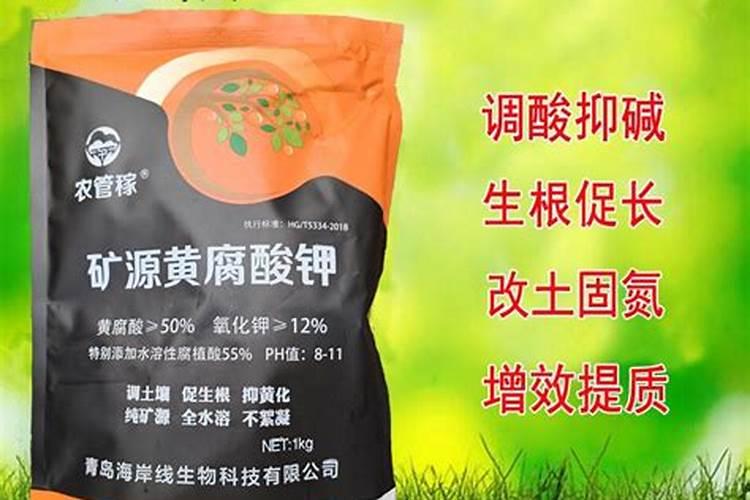 矿源黄腐酸钾浇兰花多少倍合适？